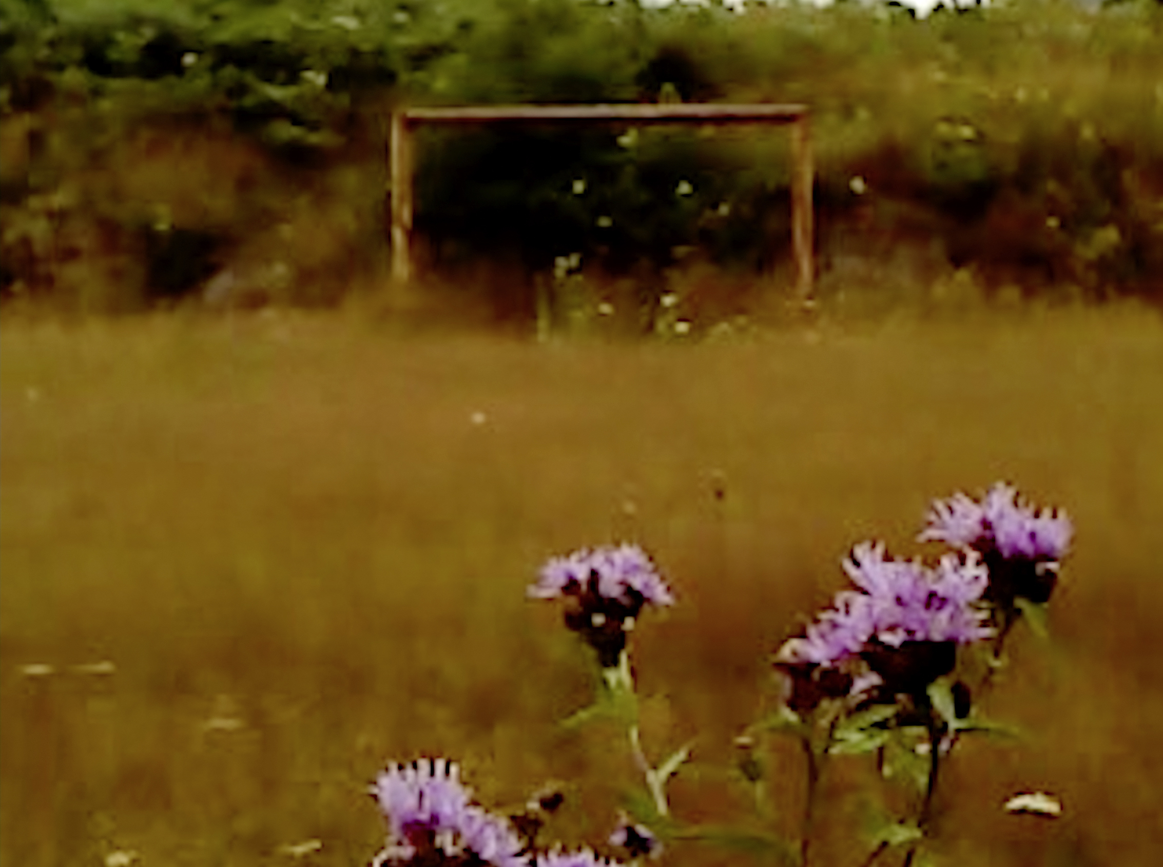 Auf Reisen – einige Filme der Viennale 2025